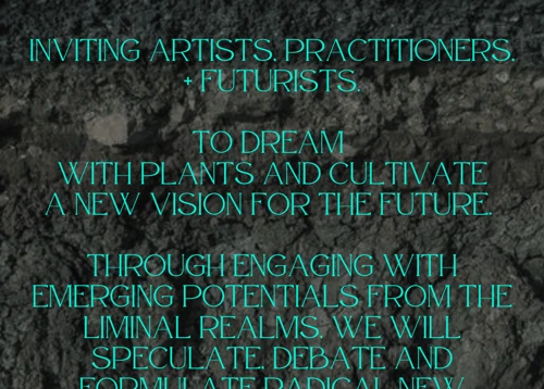 The Precognitive Dream Meaning Guide Unlocking The Secrets Of Future