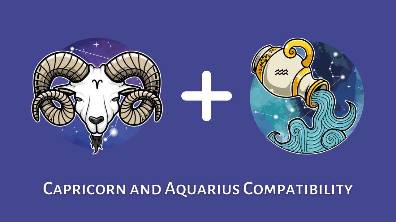Benefits Of Aquarius And Capricorn Friendship