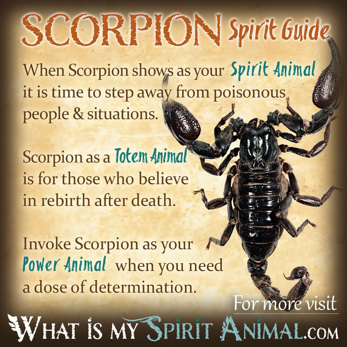 What Is Scorpio?