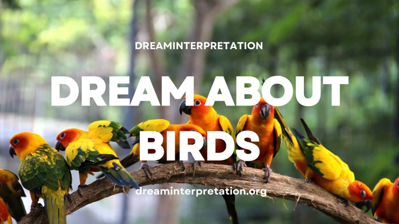 Common Dream Scenarios Featuring Parrots