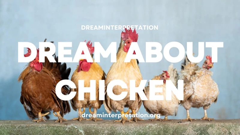 Common Interpretations Of Dreaming Of Chickens