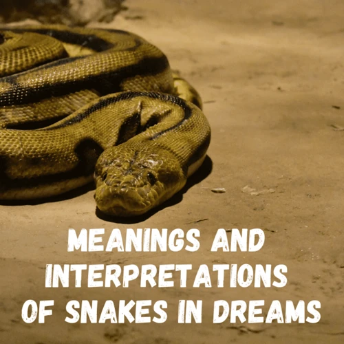 Common Interpretations Of Snake Dreams