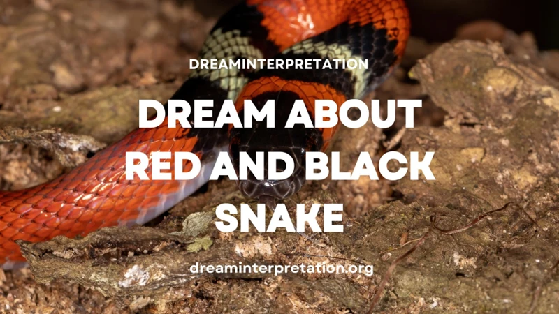 Interpretation Of Dreaming About A Red Snake