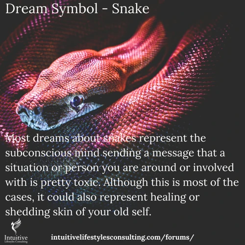 Interpreting Snake Dreams