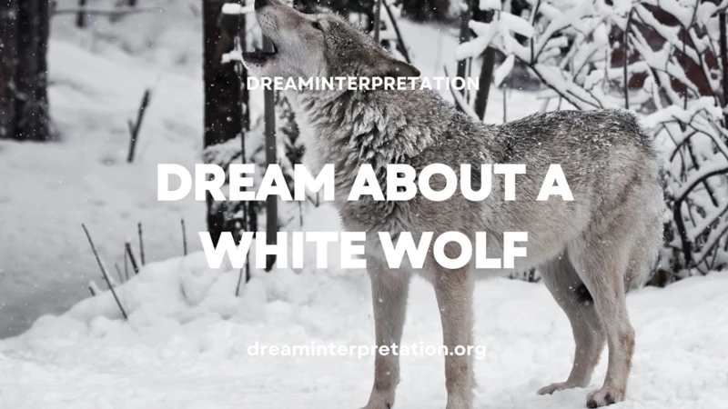 Interpreting The Dream: Black And White Wolves