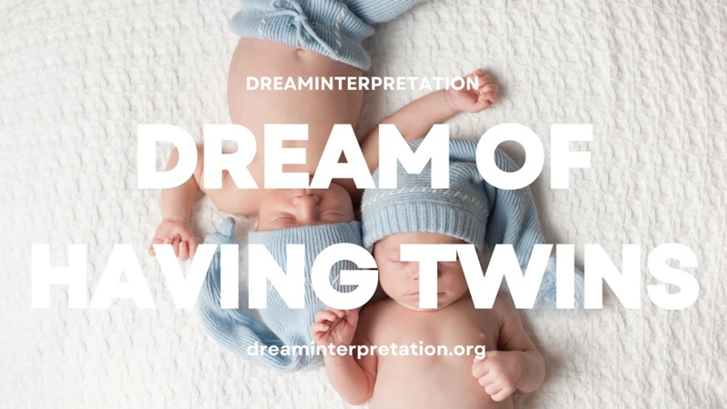 Interpreting The Spiritual Meaning Of Giving Birth To Twins