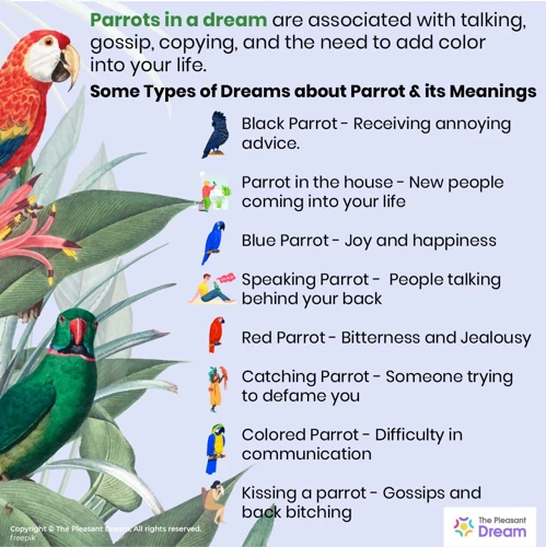 Interpreting The Spiritual Meaning Of Seeing A Parrot In Your Dreams