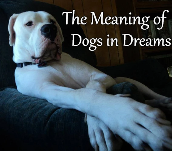 Symbolism Of Dogs In Dreams