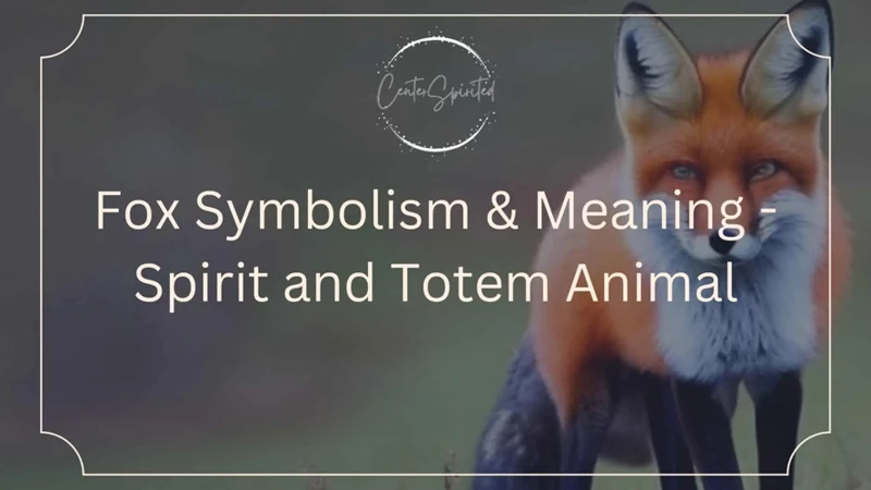 Symbolism Of Fox In The Bible