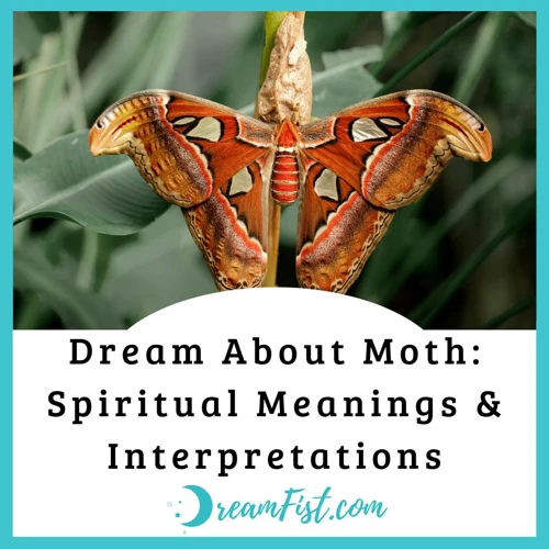 The Biblical Meaning of Moth in a Dream: Decoding the Symbolism Behind ...