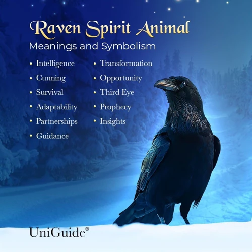 Symbolism Of Ravens