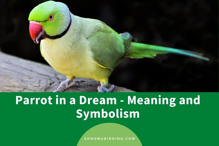 The Symbolism Of Parrots